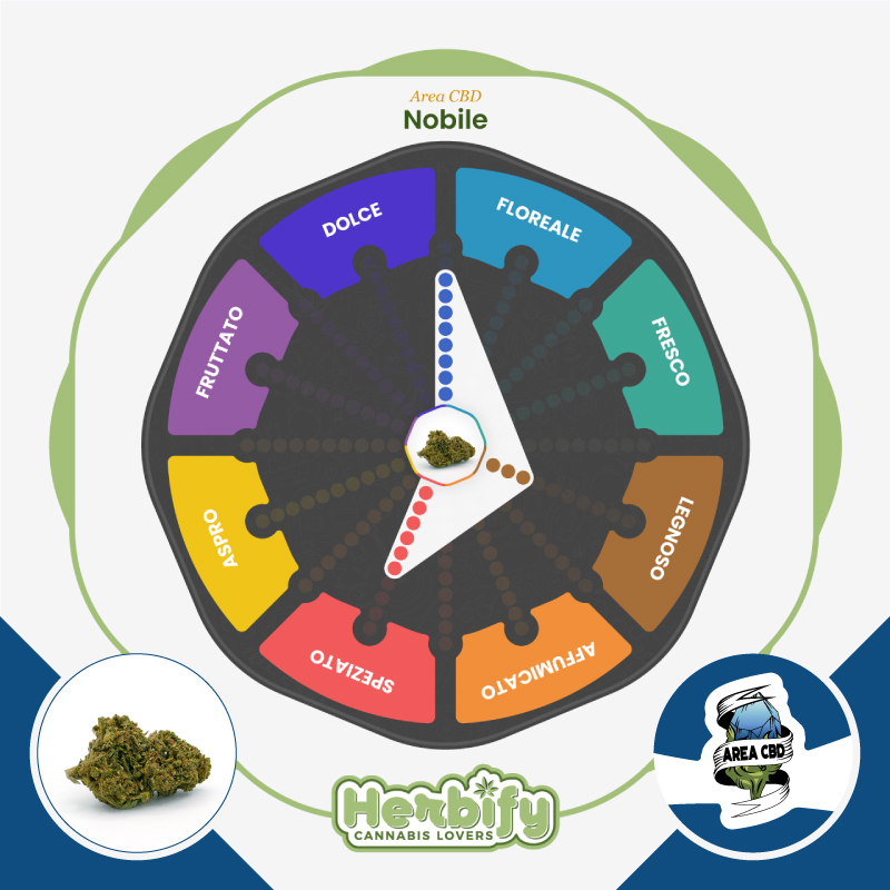 Herbify Cannabis Lovers Delivery