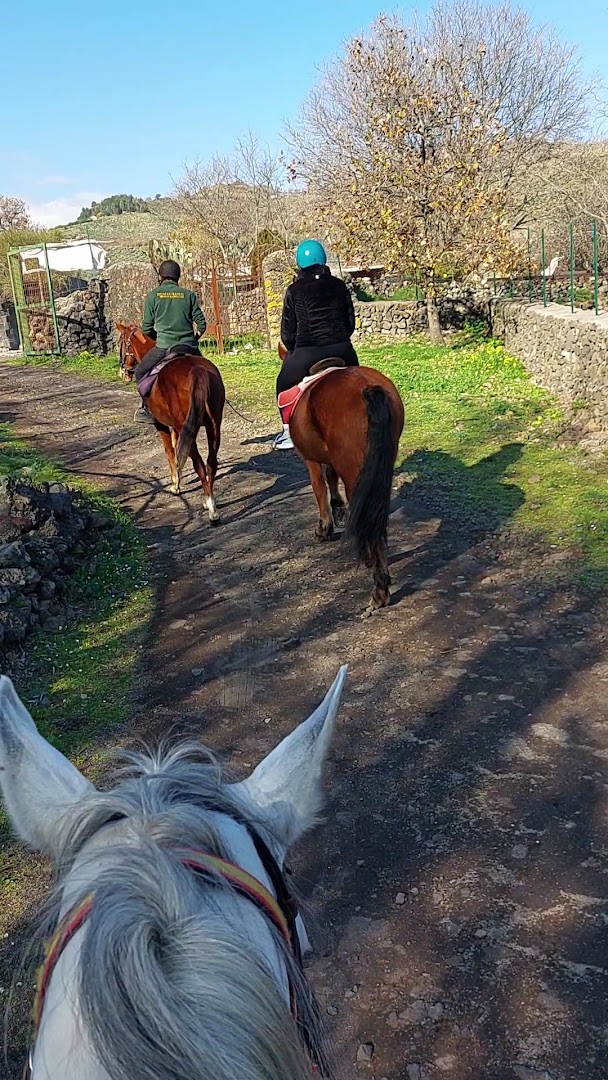 Hidalgo Ranch, Linguaglossa
