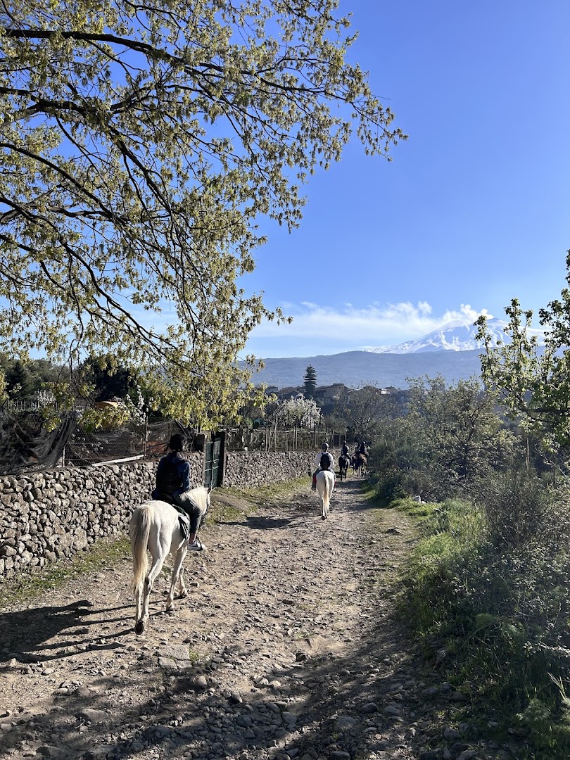 Hidalgo Ranch