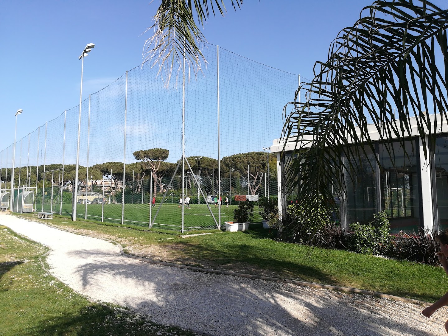 Honey Sport City