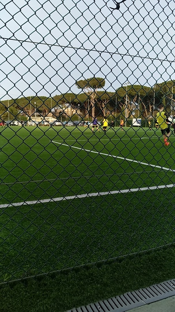 Honey Sport City