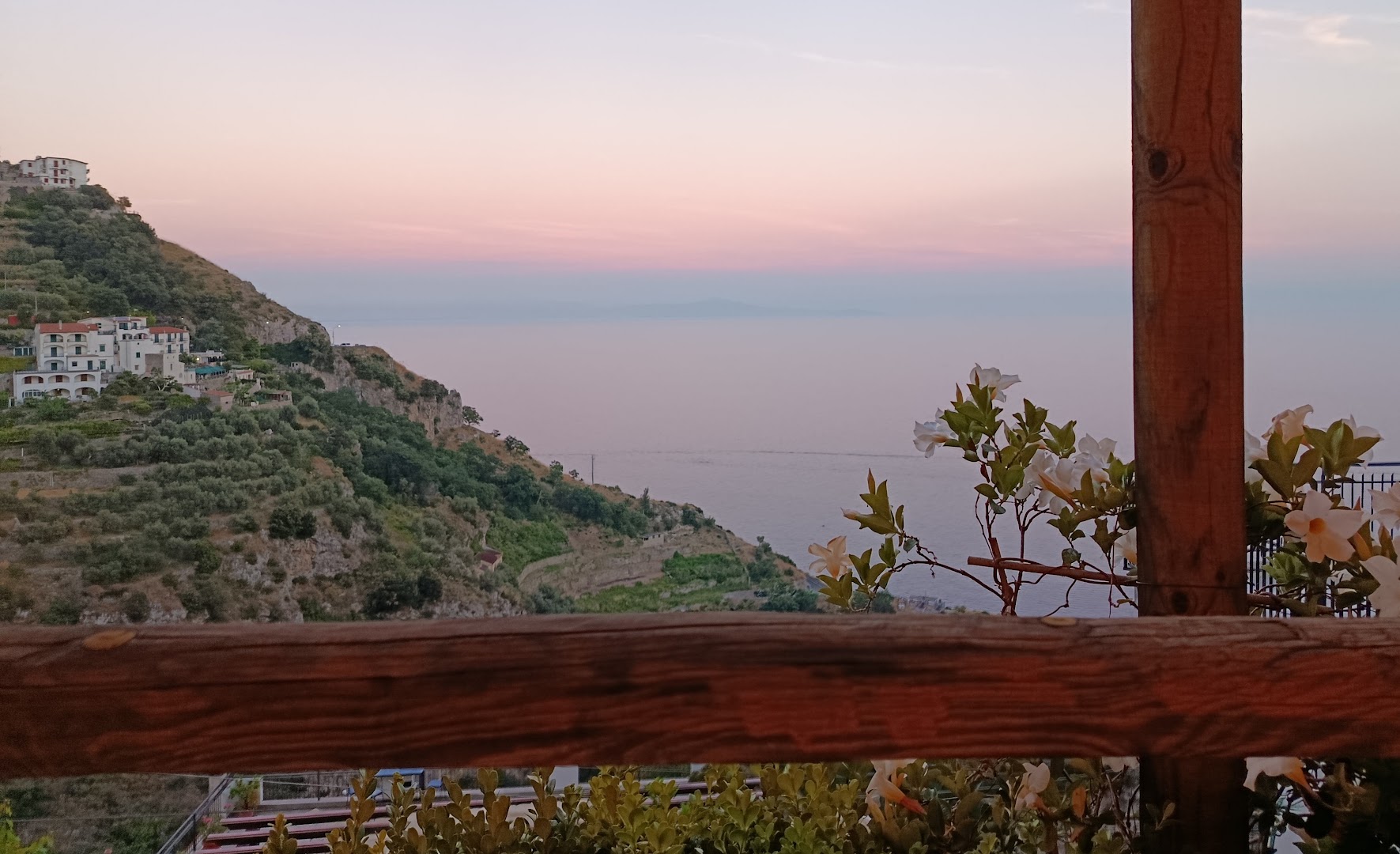 Hotel Holiday's Fico d'India, Furore