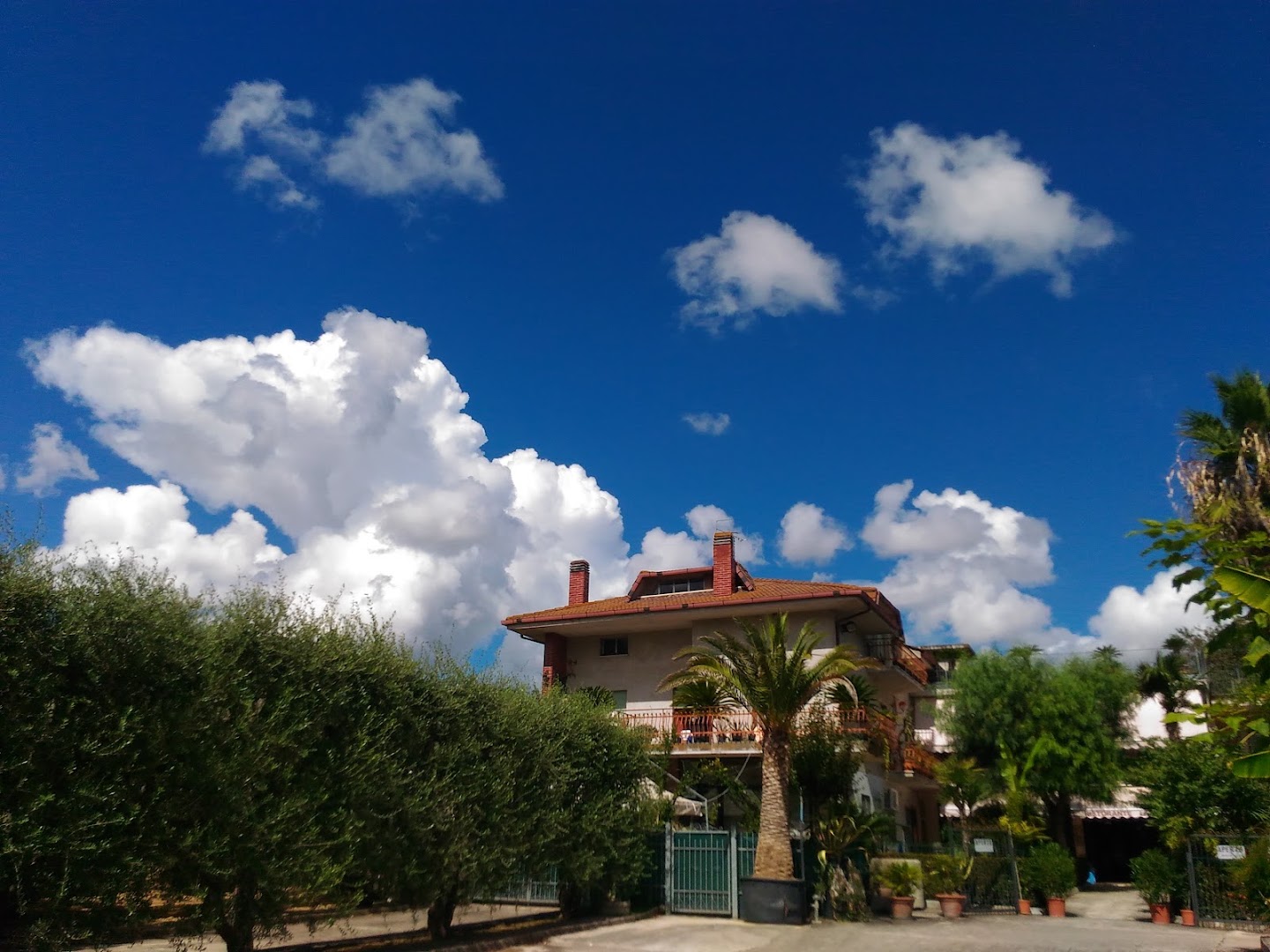 Hotel Le Palme