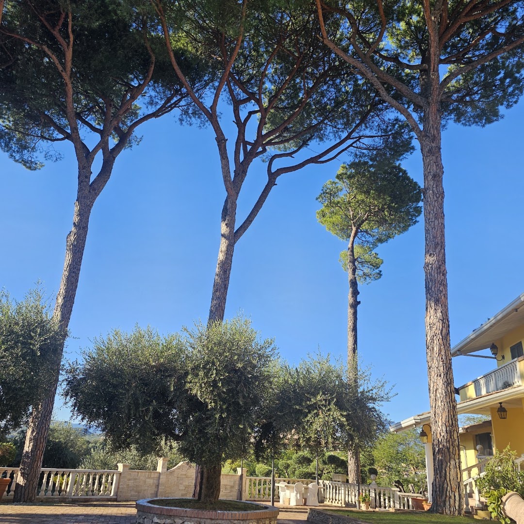 Hotel Ristorante La Villa del Colle