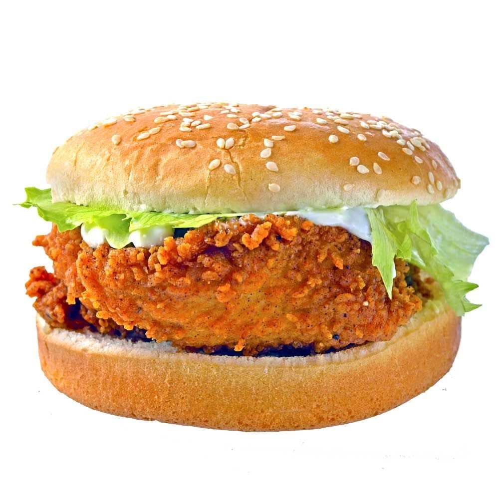 HR SHAN KEBAB INDIAN FOOD