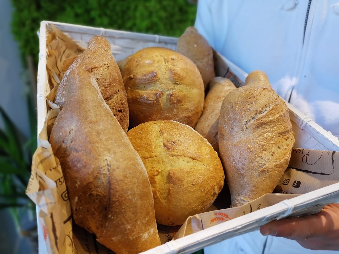 I Basile gastronomia
