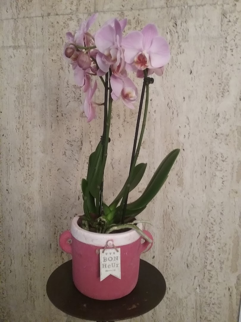 I Fiori di Irene e Lorenzo