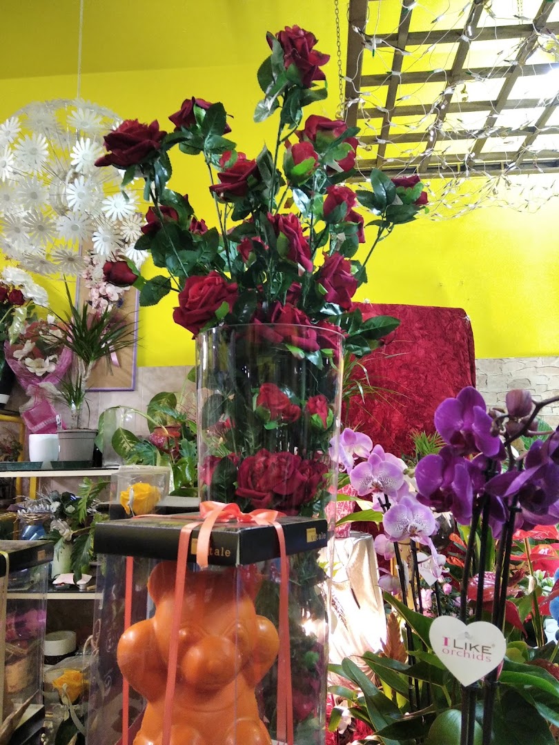 I Fiori Di Rosmary