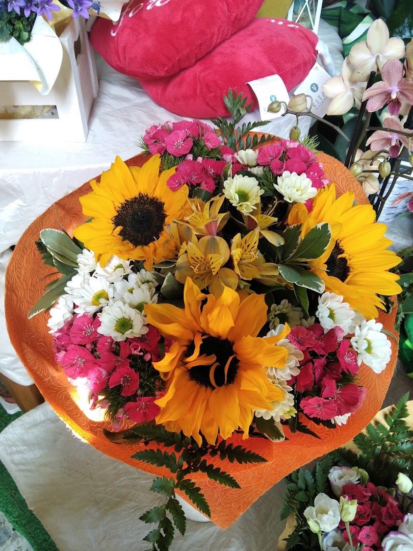 I Fiori Di Rosmary