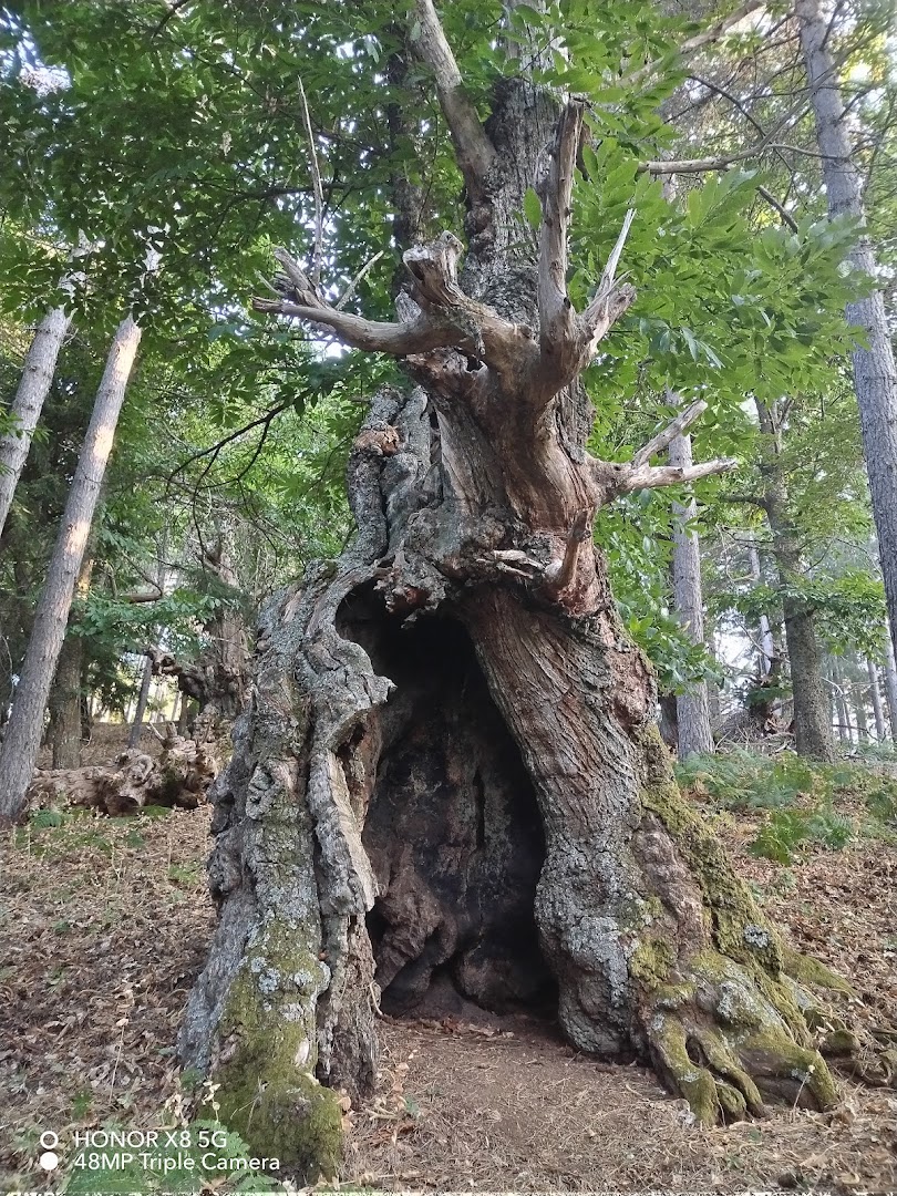I Giganti del Cozzo del Pesco