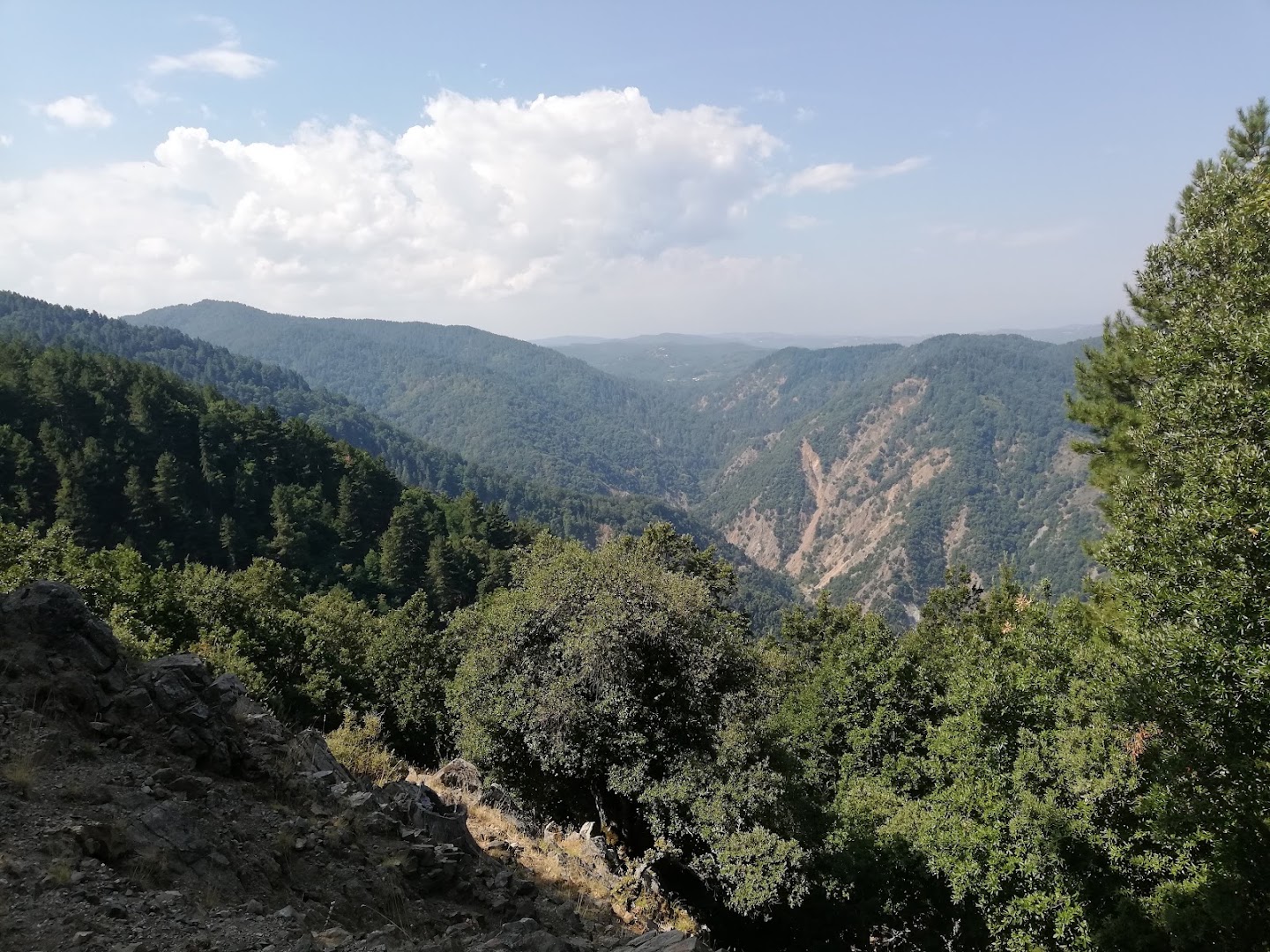 I Giganti del Cozzo del Pesco