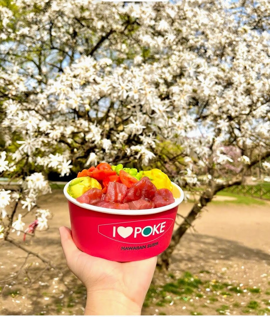 I Love Poke Nichelino