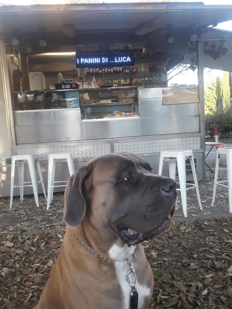 I Panini Di Luca