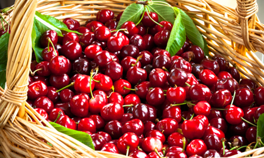 I PARISI - SALUMERIA, PRODOTTI TIPICI, FRUTTA
