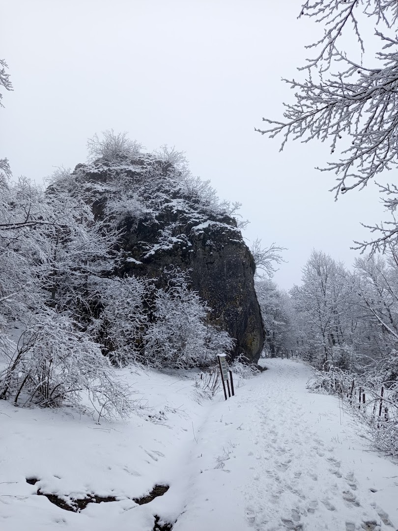 I Sassoni, Verghereto