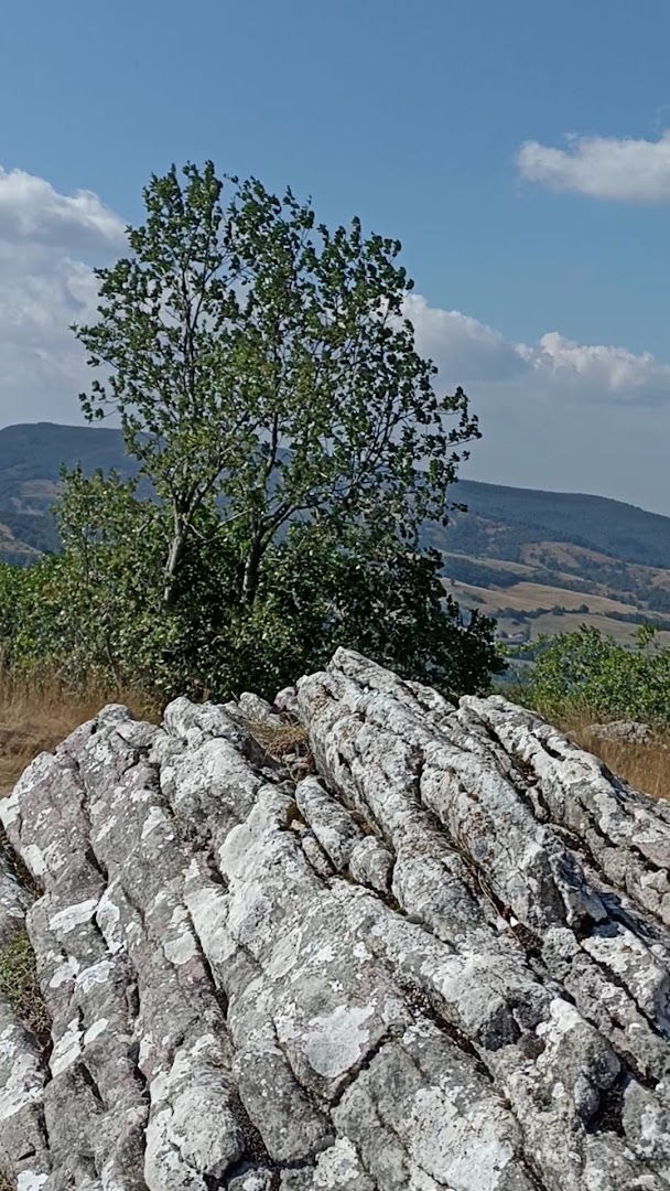 I Sassoni