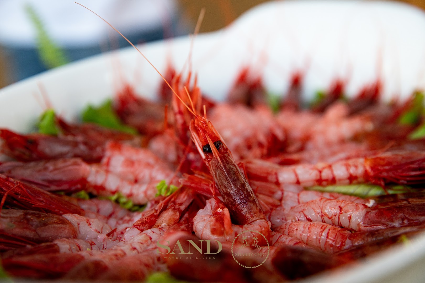 I-sushi Sottomarina, Chioggia