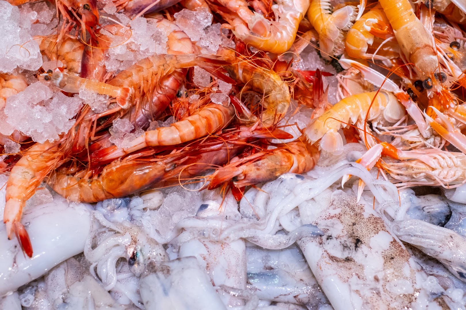 I Tesori del Mare