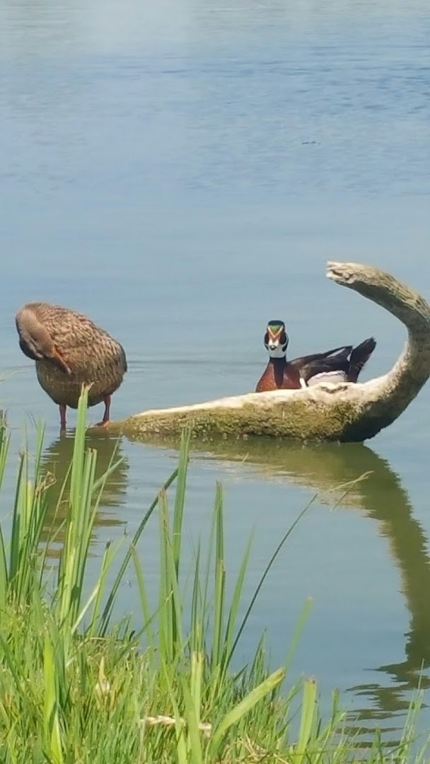 I Tre Laghi Di Oscasale