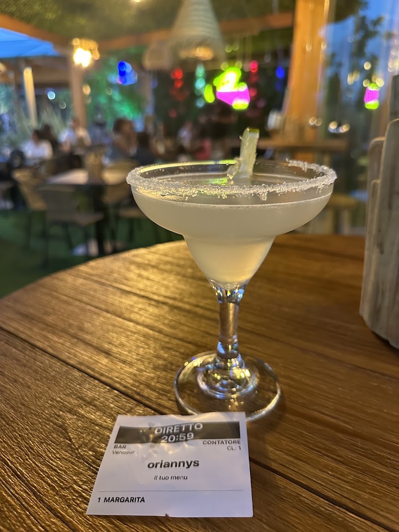 Iguana Roma