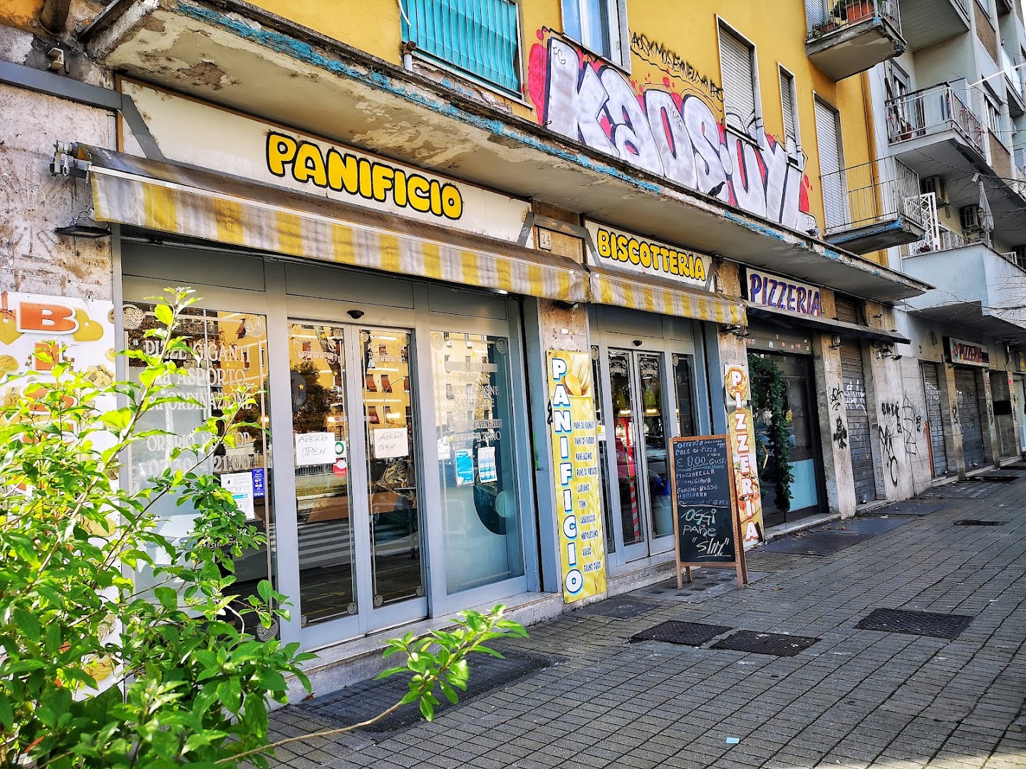 Il biscopan