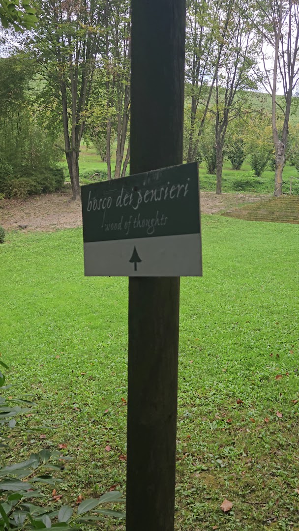 Il bosco dei pensieri