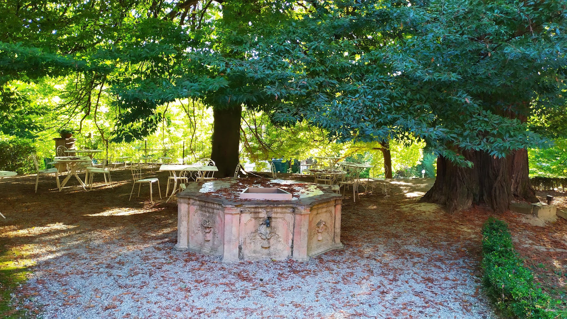 Il bosco dei pensieri