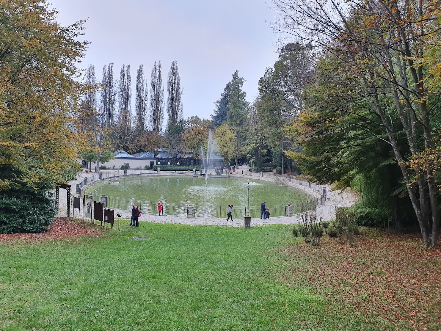 Il bosco dei pensieri