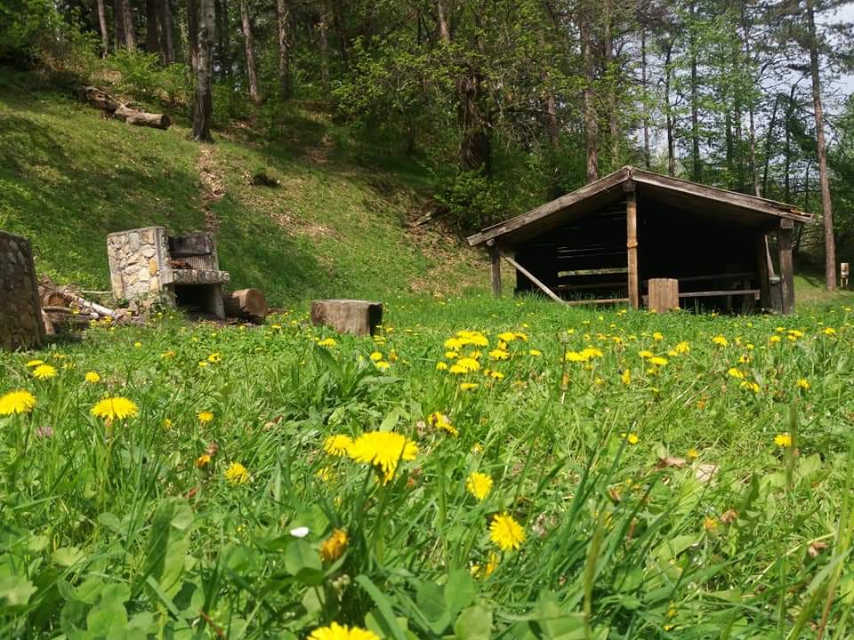 Il Bosco delle Streghe, Calizzano