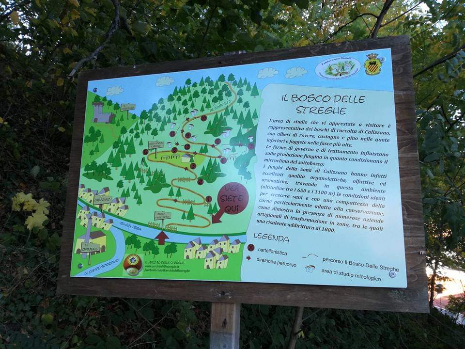 Il Bosco delle Streghe