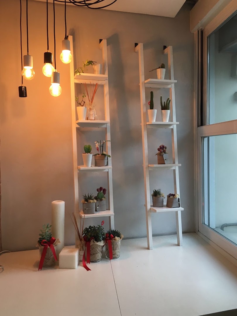 Il Buco Ristorante Pizzeria, Riccione