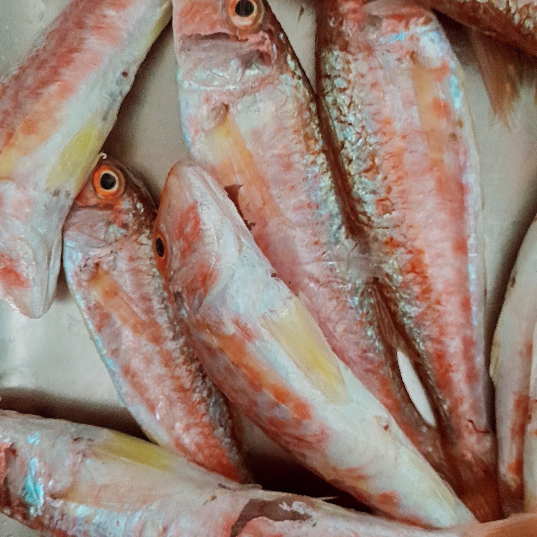 Il Calimero , cucina mediterranea