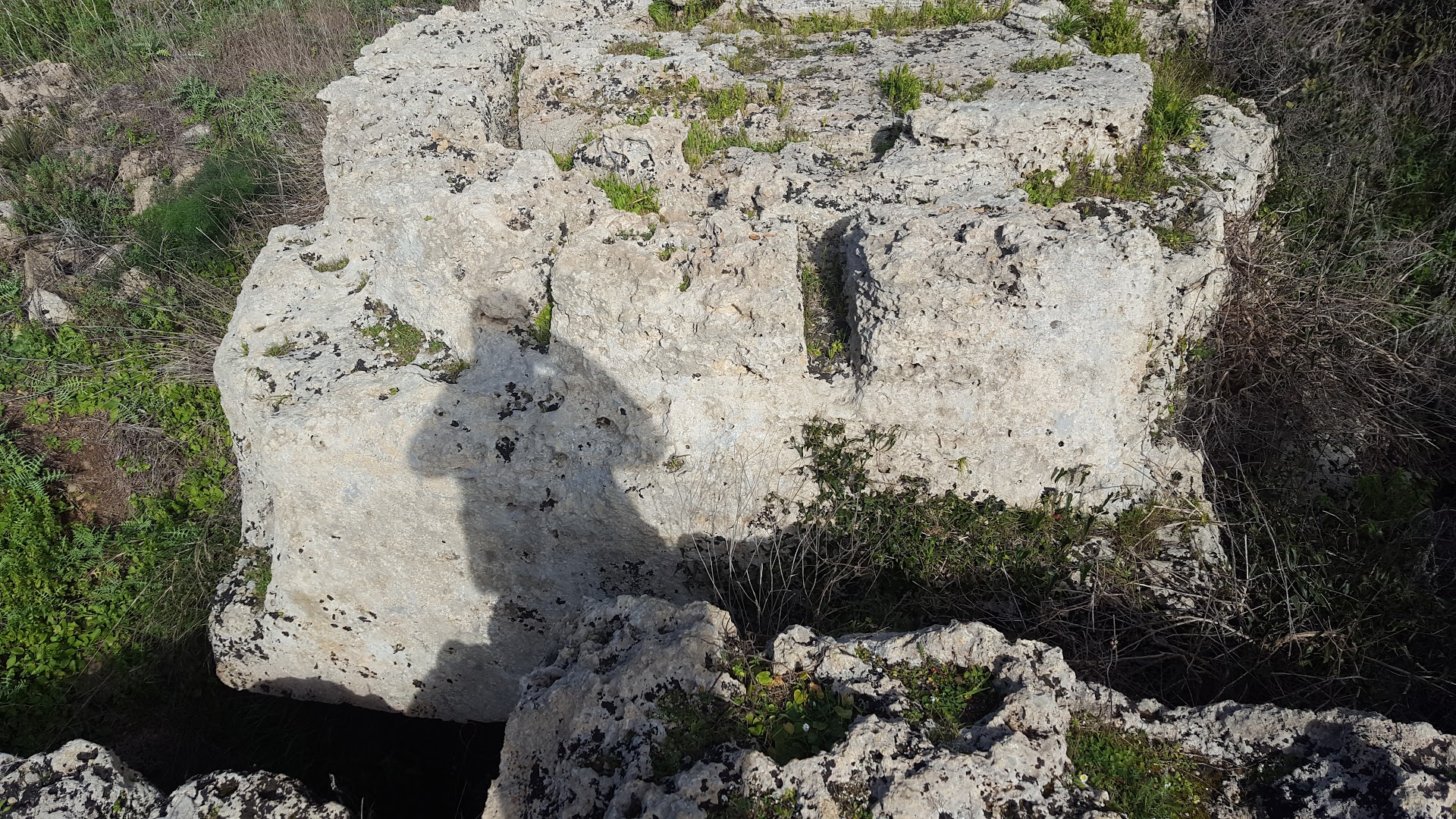 Il Capitello di Selinunte