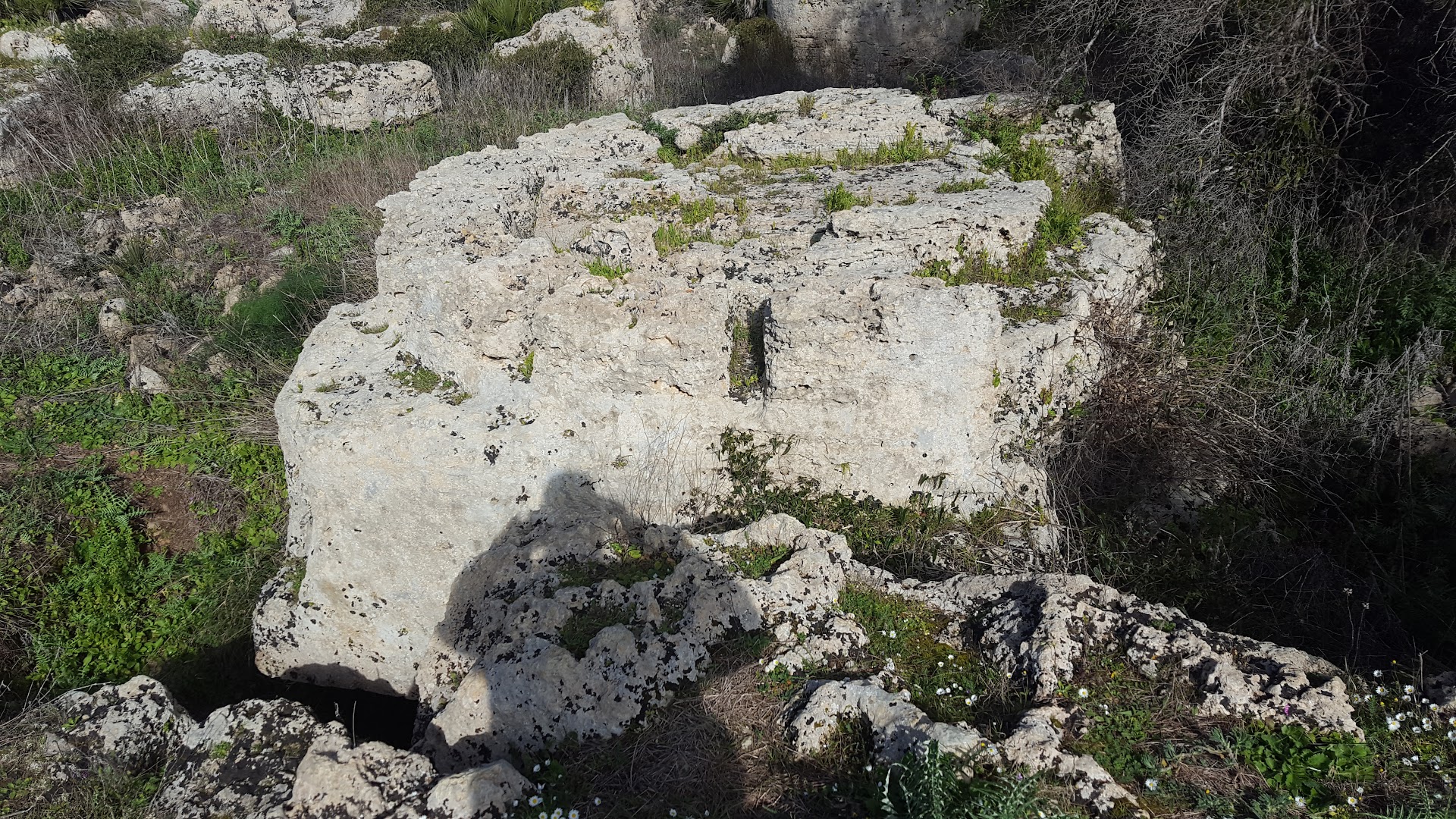 Il Capitello di Selinunte