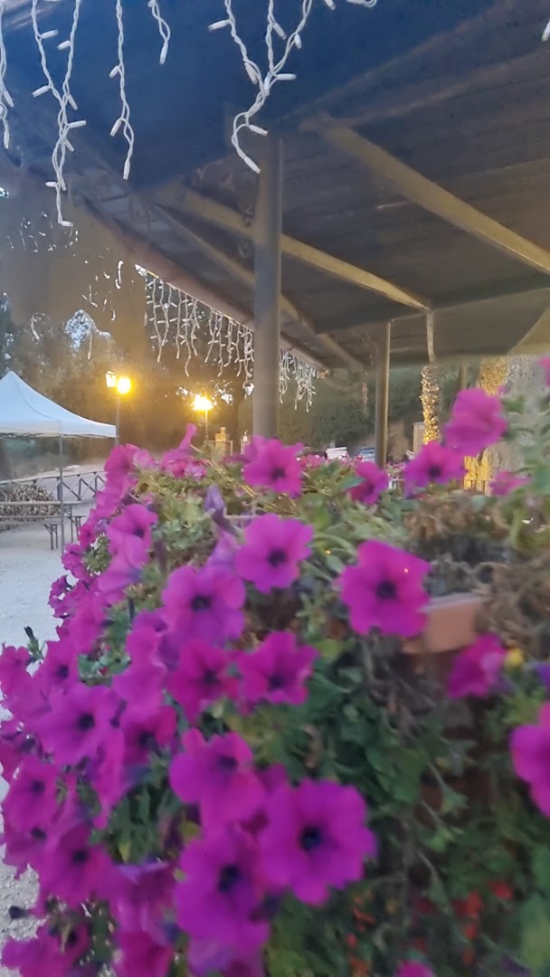 Il Casale dei Buoni Sapori