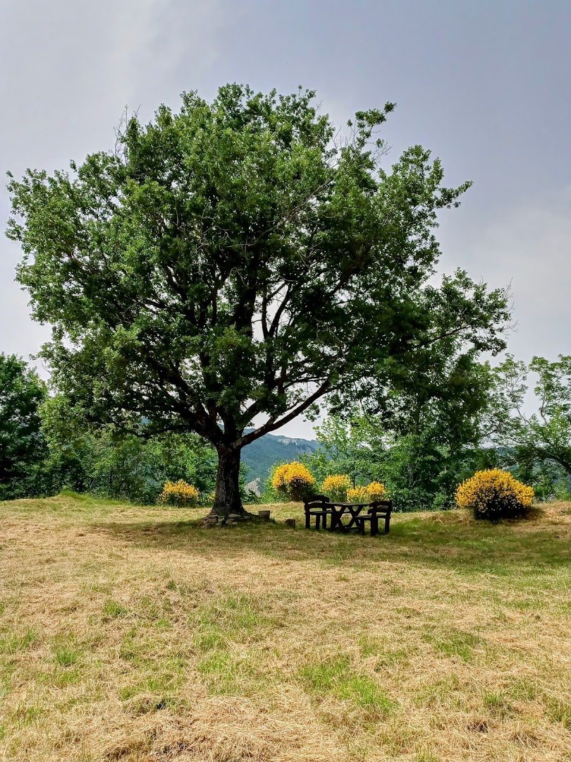 il Castellaccio