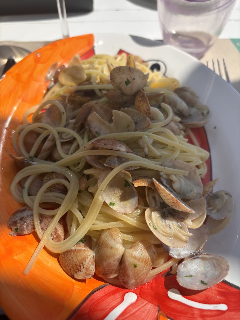 Il Cavalluccio Marino