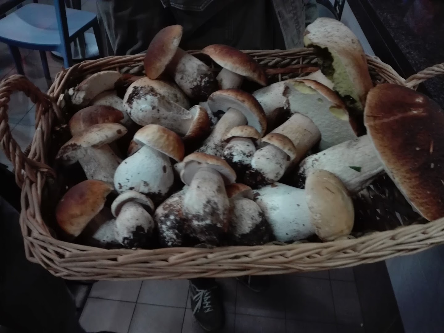 Il Chiosco di Tolli Bederiana