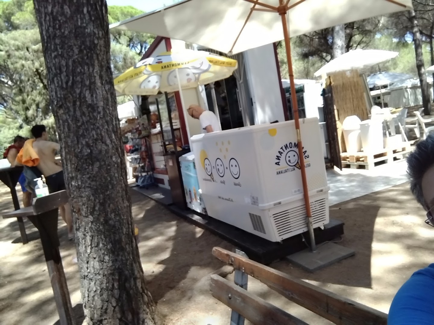 Il Chiosco in Pineta, Castiglioncello