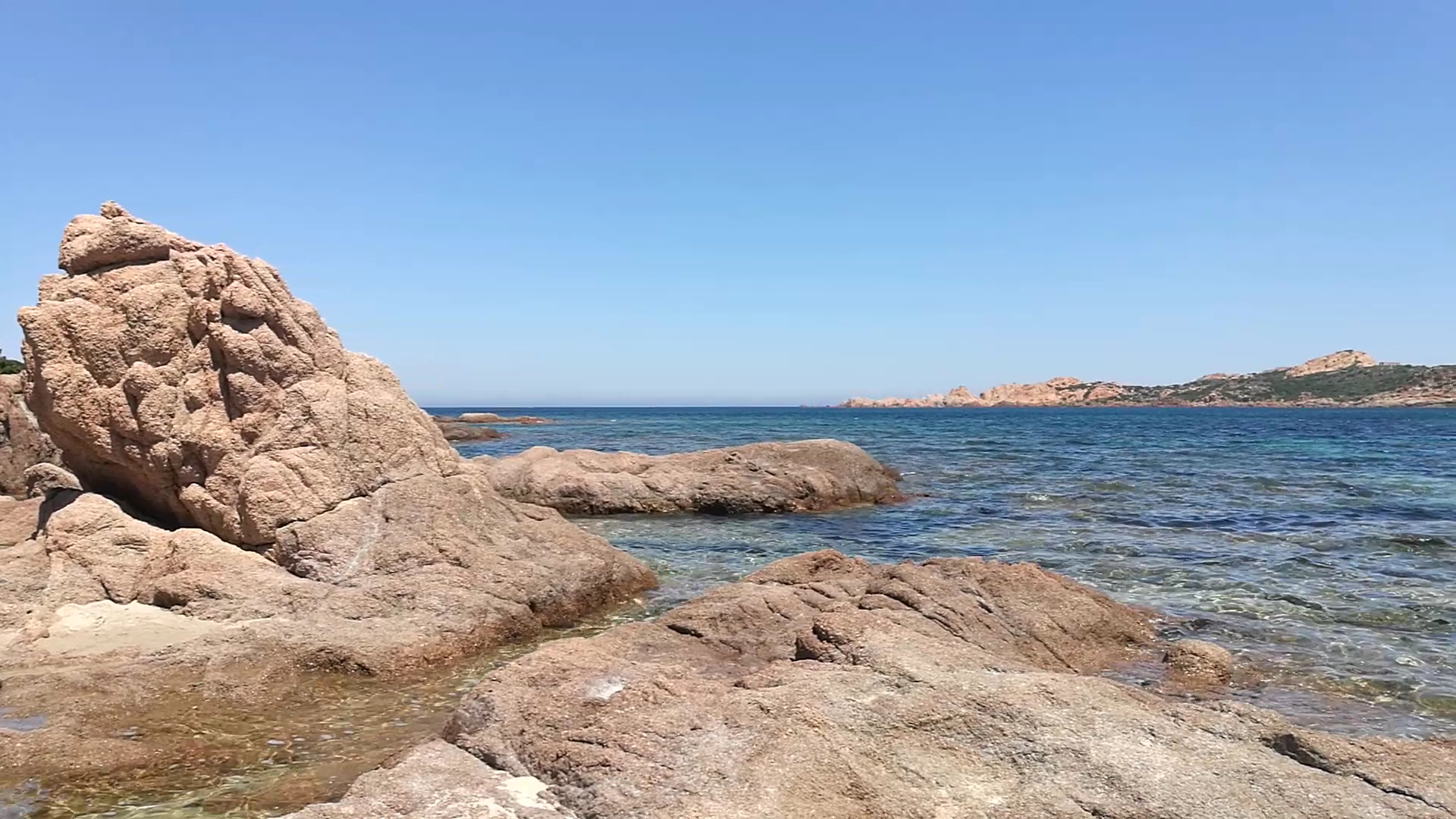 Il Cormorano