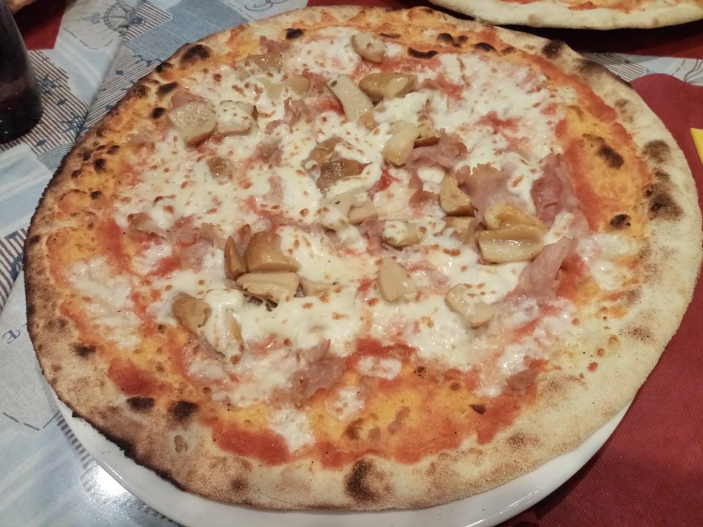 Il Delfino