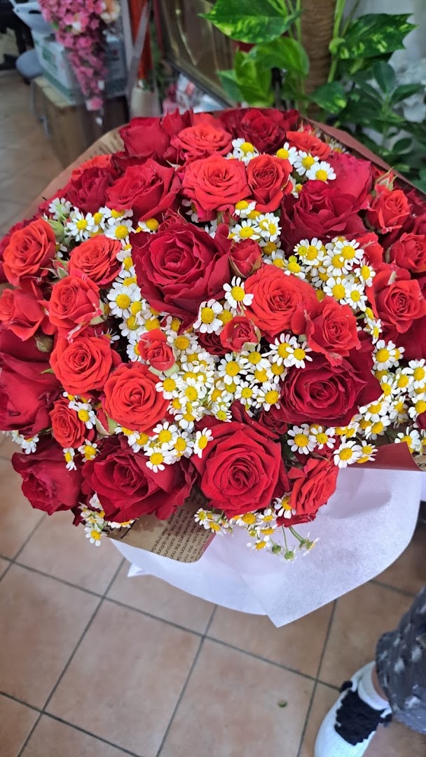Il fiore dei fiori, Somma Vesuviana