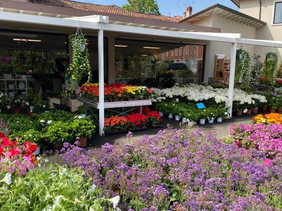 Il fiore il supermercato dei fiori, Brescia