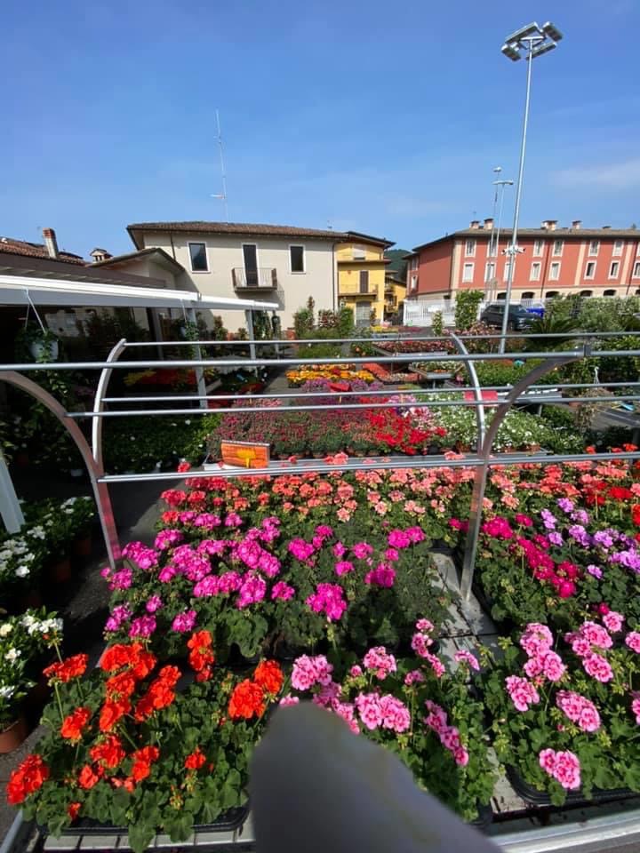 Il fiore il supermercato dei fiori