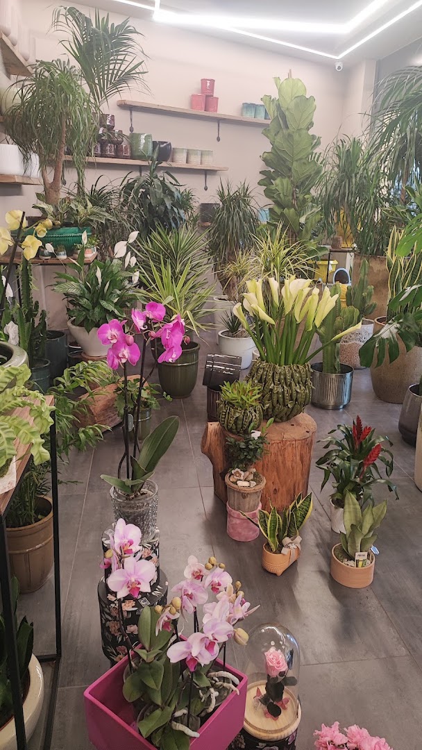 Il Fiore Snc Di Alario Anna E C, Brescia