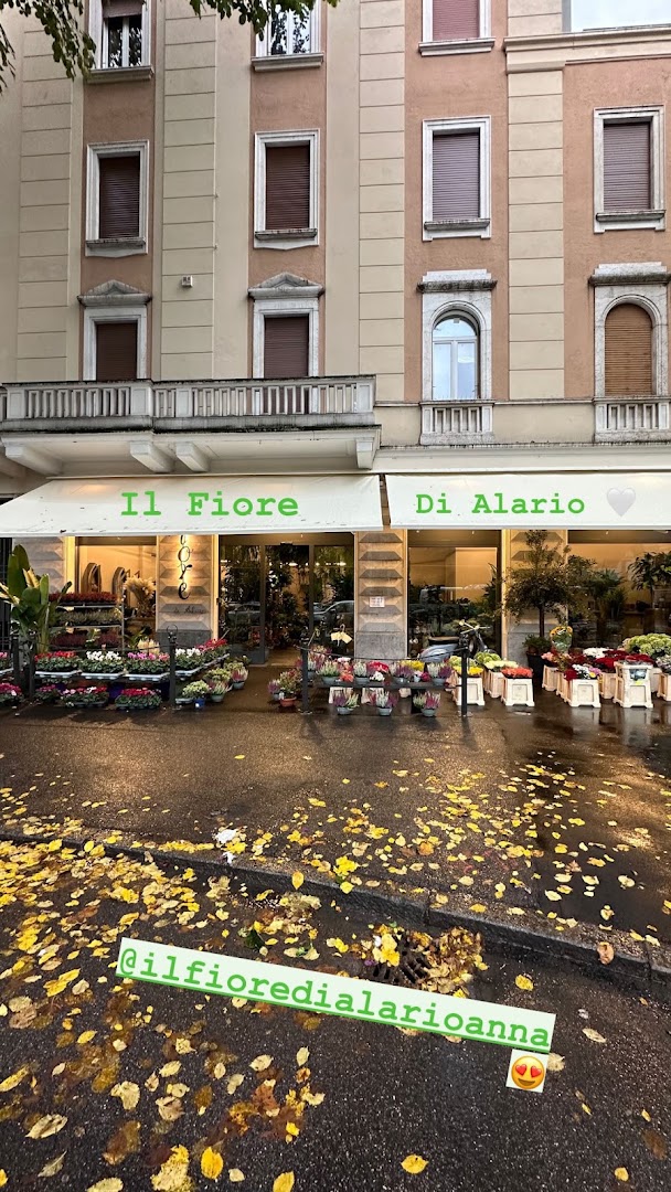 Il Fiore Snc Di Alario Anna E C
