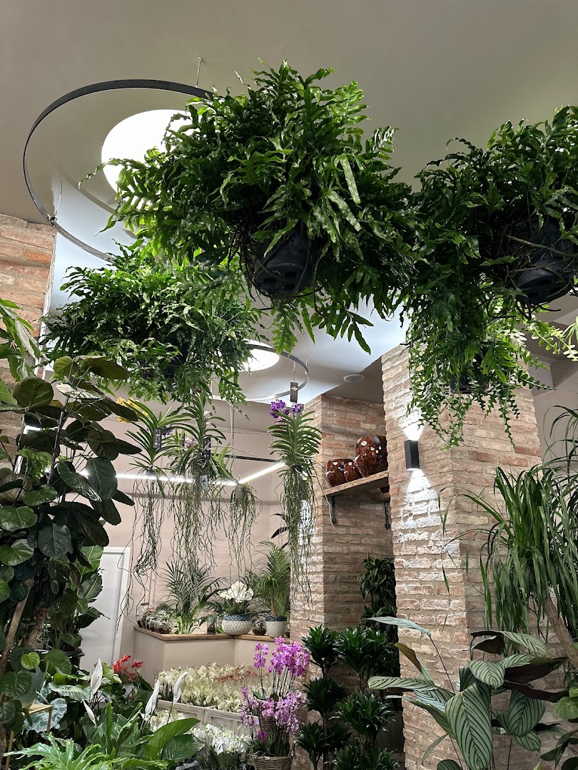 Il Fiore Snc Di Alario Anna E C