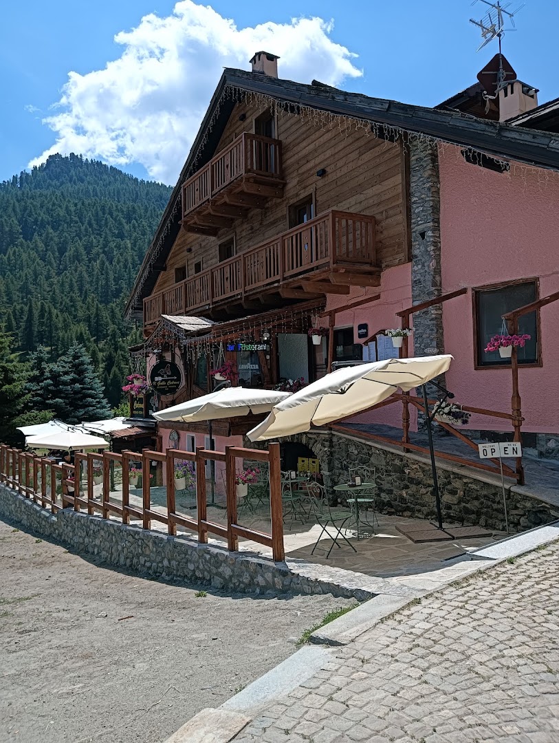 Il Gallo Cedrone- di soliman