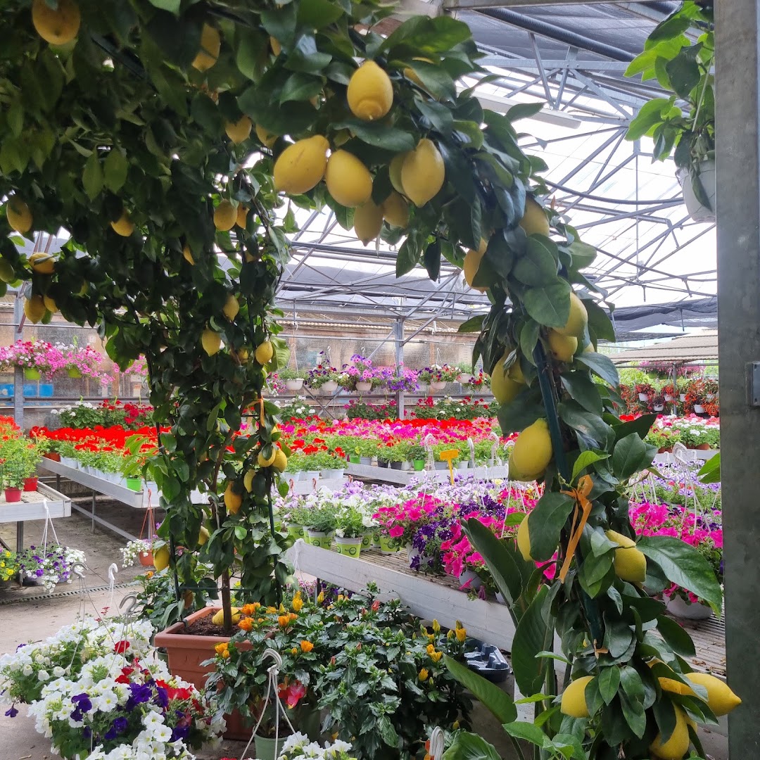 Il Garden