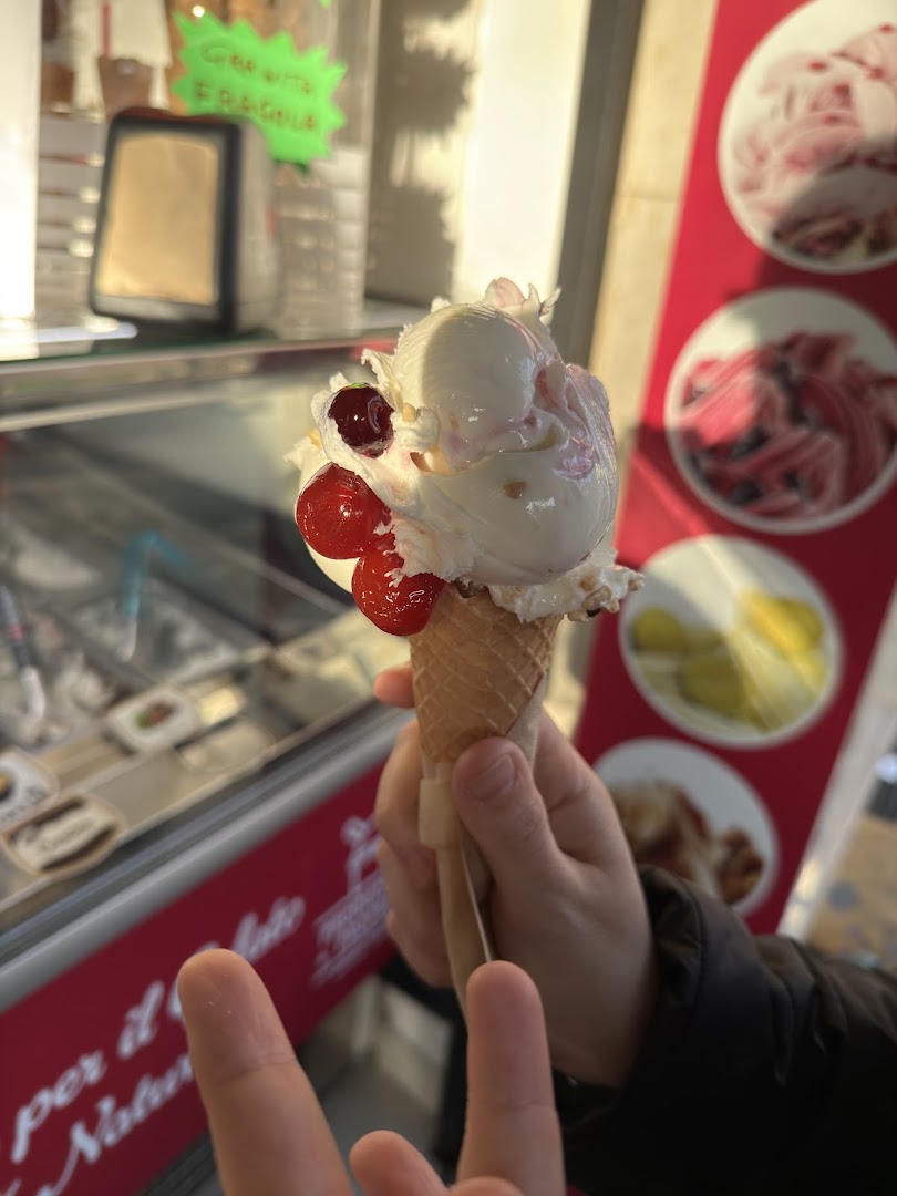 Il Gelatiere - Il Gelato Artigianale